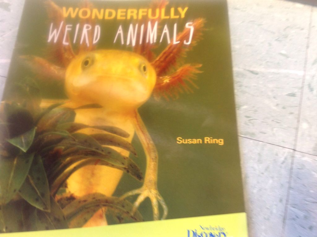 Wonderfully Weird Animals