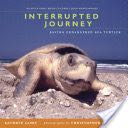 Interrupted Journey