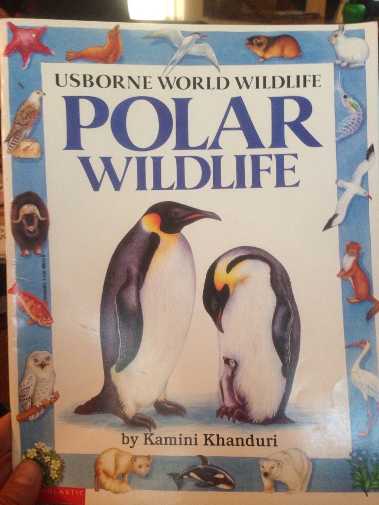 Polar Wildlife