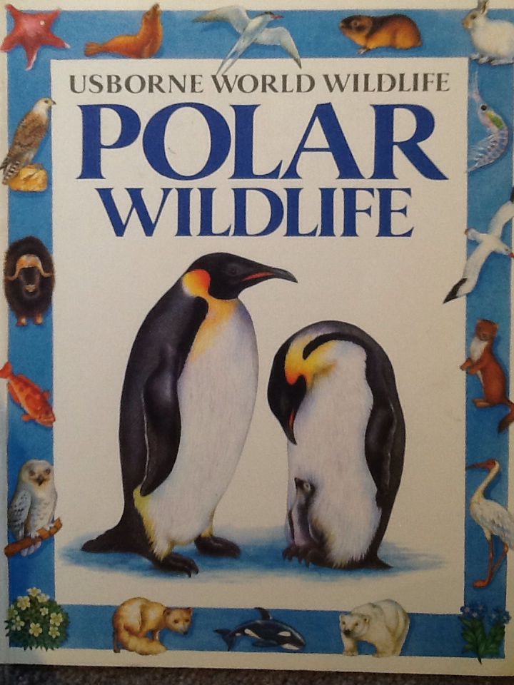 Polar Wildlife