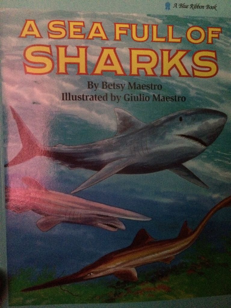 A Sea Full of Sharks