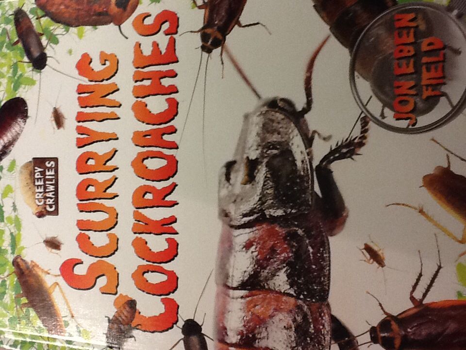 Scurrying Cockroaches