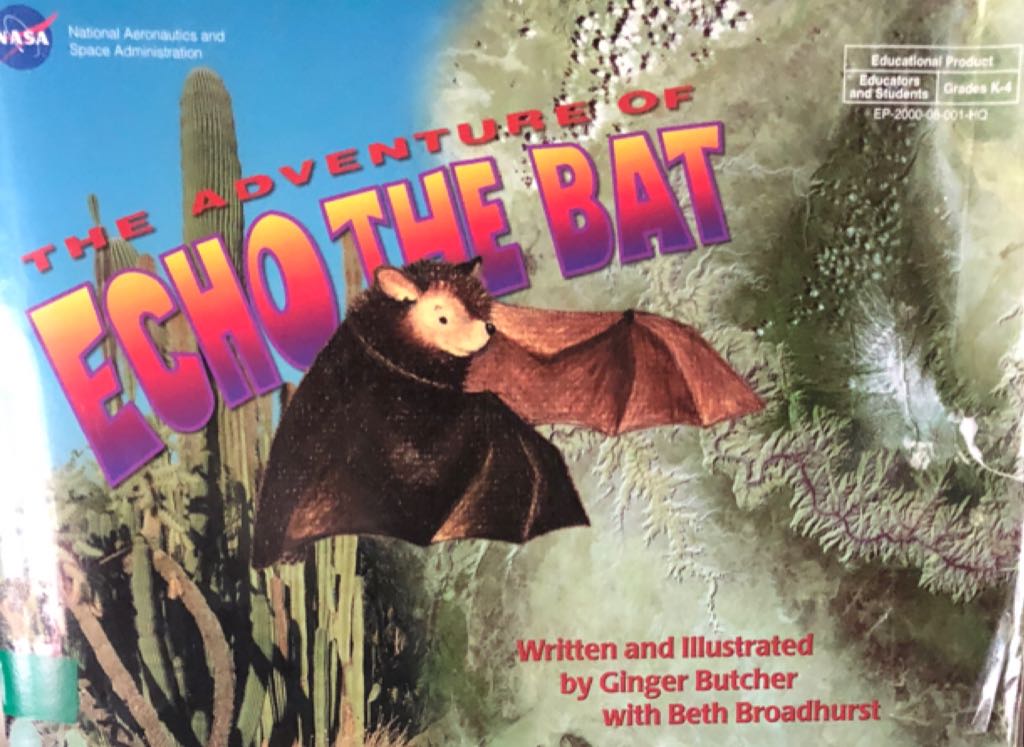 The Adventure Of Echo The Bat
