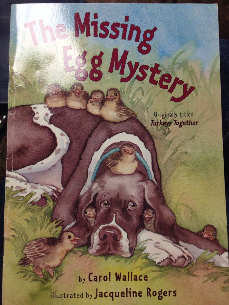 The missing egg mystery