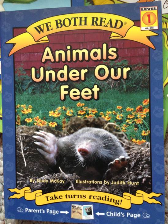 Animals Under Our Feet