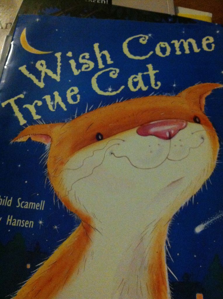 The Wish Come True Cat