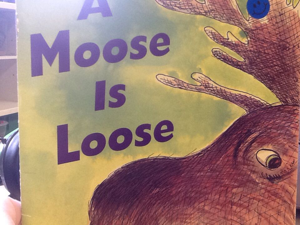 A Moose is Loose