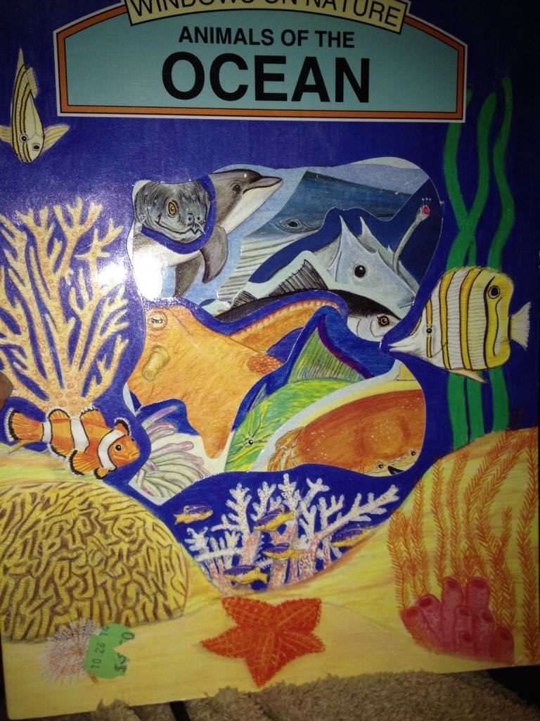 Animals Of The Ocean