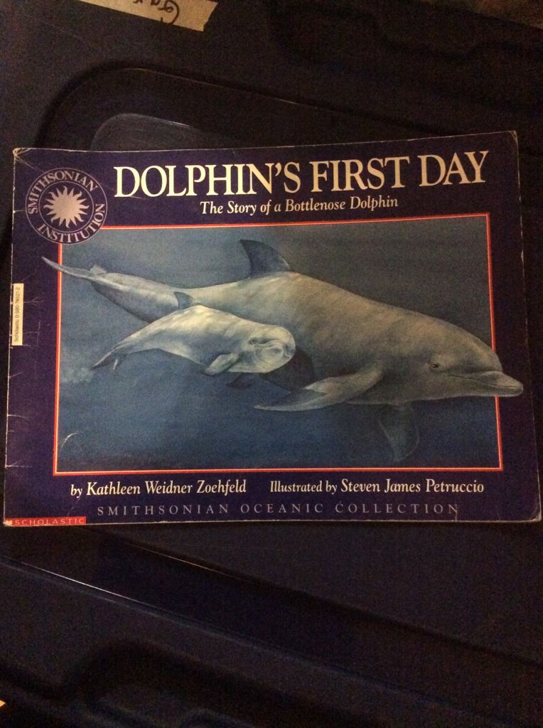 Dolphin’s First Day: The Story Of A Bottlenose Dolphin - Kathleen Weidnet Zoehfeld (A Scholastic Press - Paperback) book collectible [Barcode 9780590745215] - Main Image 1