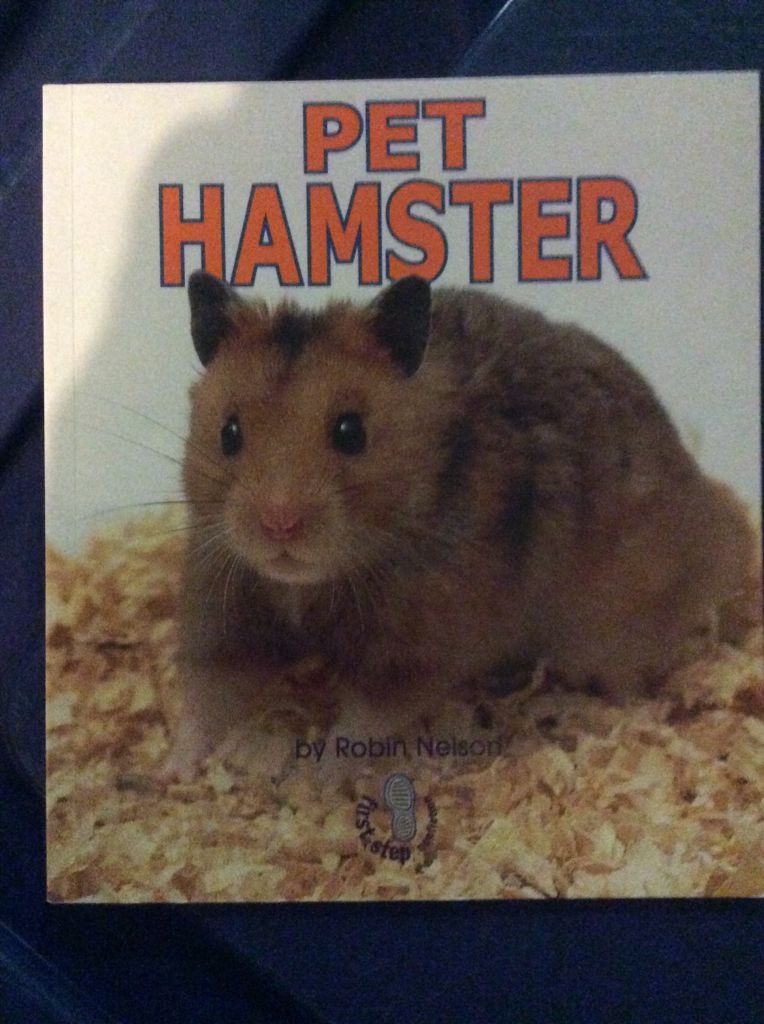 Pet Hamster