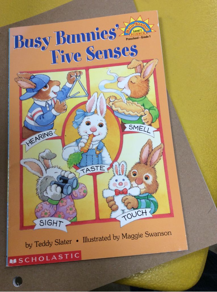 Busy Bunnies’ Five Senses