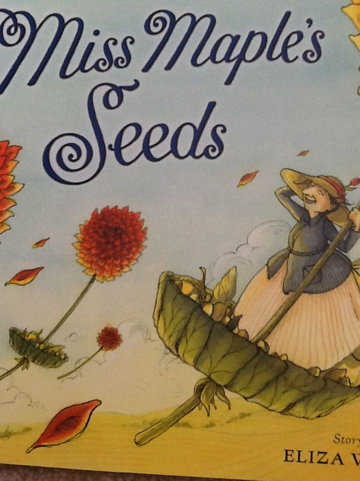 Miss Maples Seeds - Eliza wheeler (Nancy Paulsen Books - Paperback) book collectible [Barcode 9780399255939] - Main Image 1