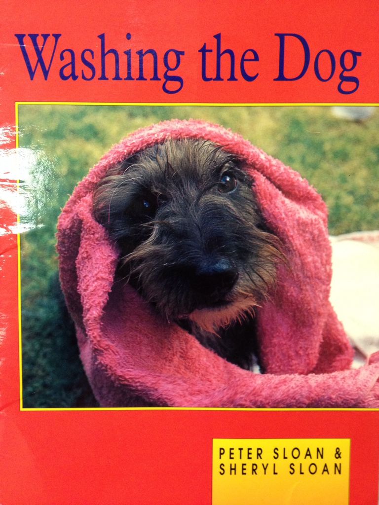 Washing the Dog