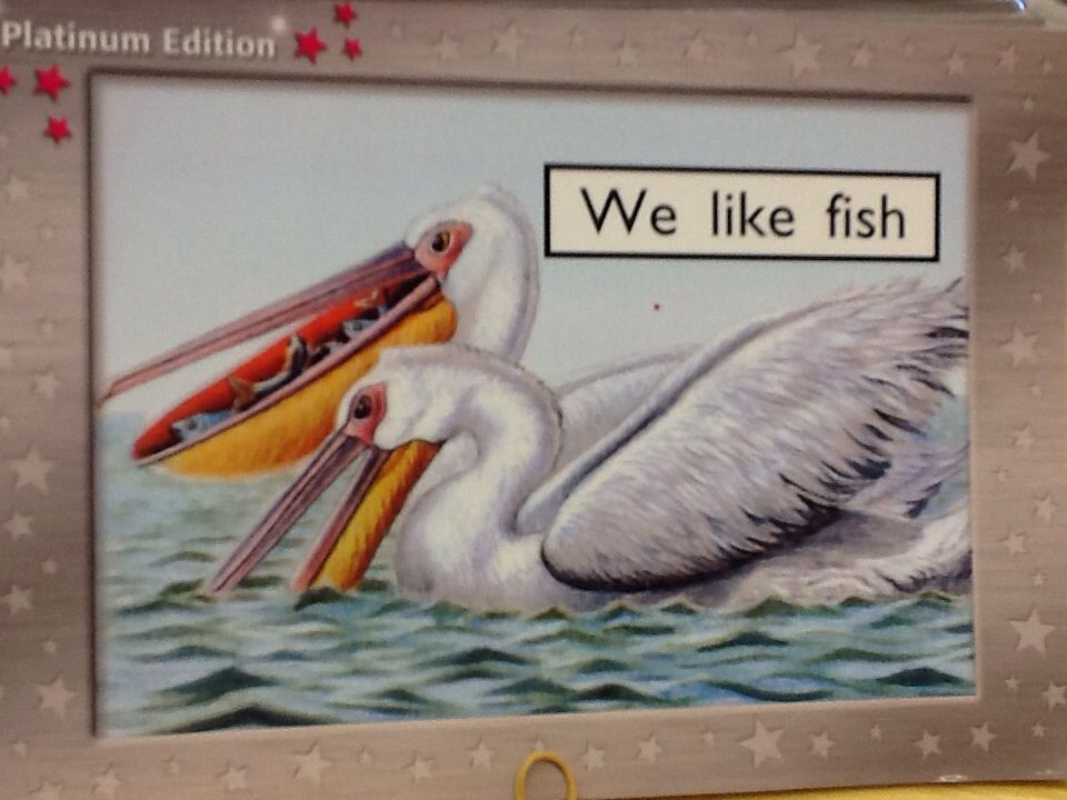 We Like Fish