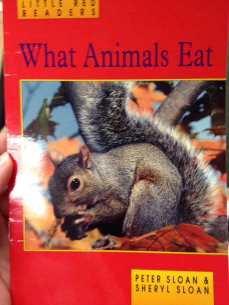 What Animals Eat