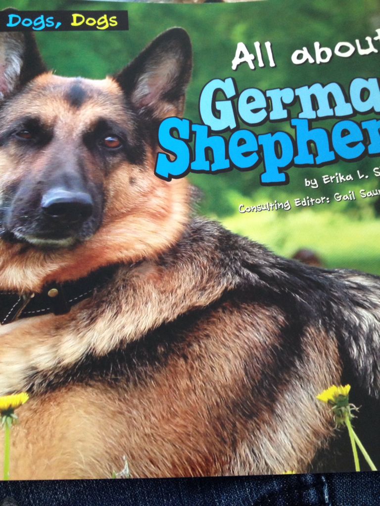 All About German Shepherds - Erika L. Shores (Pebble Plus - Paperback) book collectible [Barcode 9781620656457] - Main Image 1