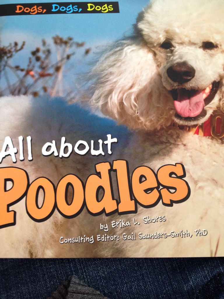 All About Poodles - Erika L. Shores (Pebble Plus - Paperback) book collectible [Barcode 9781620656464] - Main Image 1
