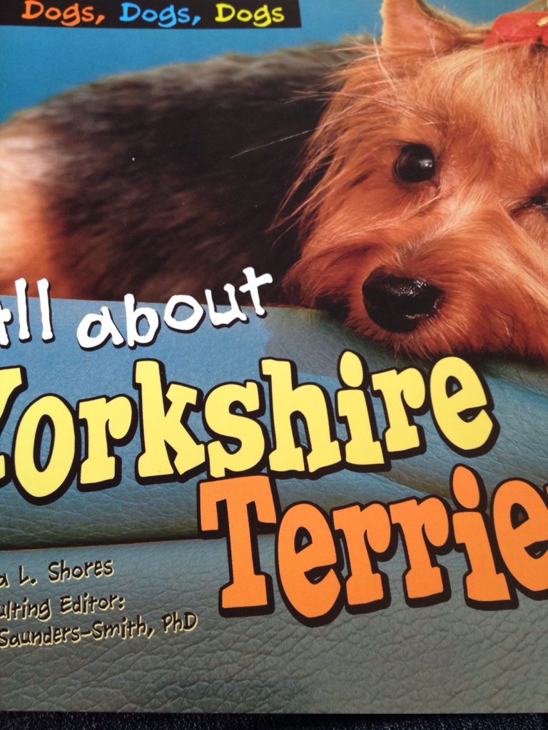 All About Yorkshire Terriers - Erika L. Shores (Pebble Plus - Paperback) book collectible [Barcode 9781620656471] - Main Image 1