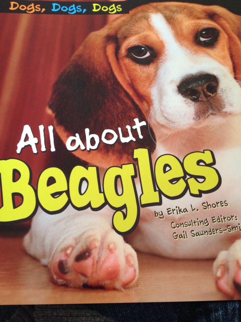 All About Beagles - Erika L. Shores (Pebble Plus - Paperback) book collectible [Barcode 9781620656426] - Main Image 1