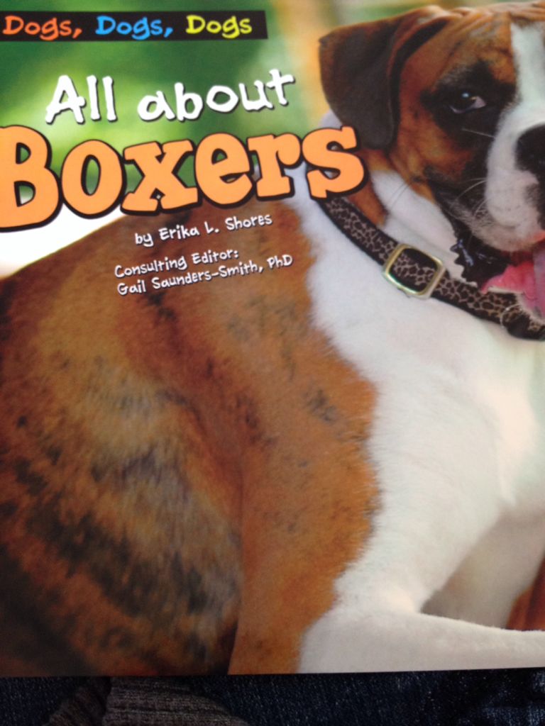 All About Boxers - Erika L. Shores (Pebble Plus - Paperback) book collectible [Barcode 9781620656433] - Main Image 1