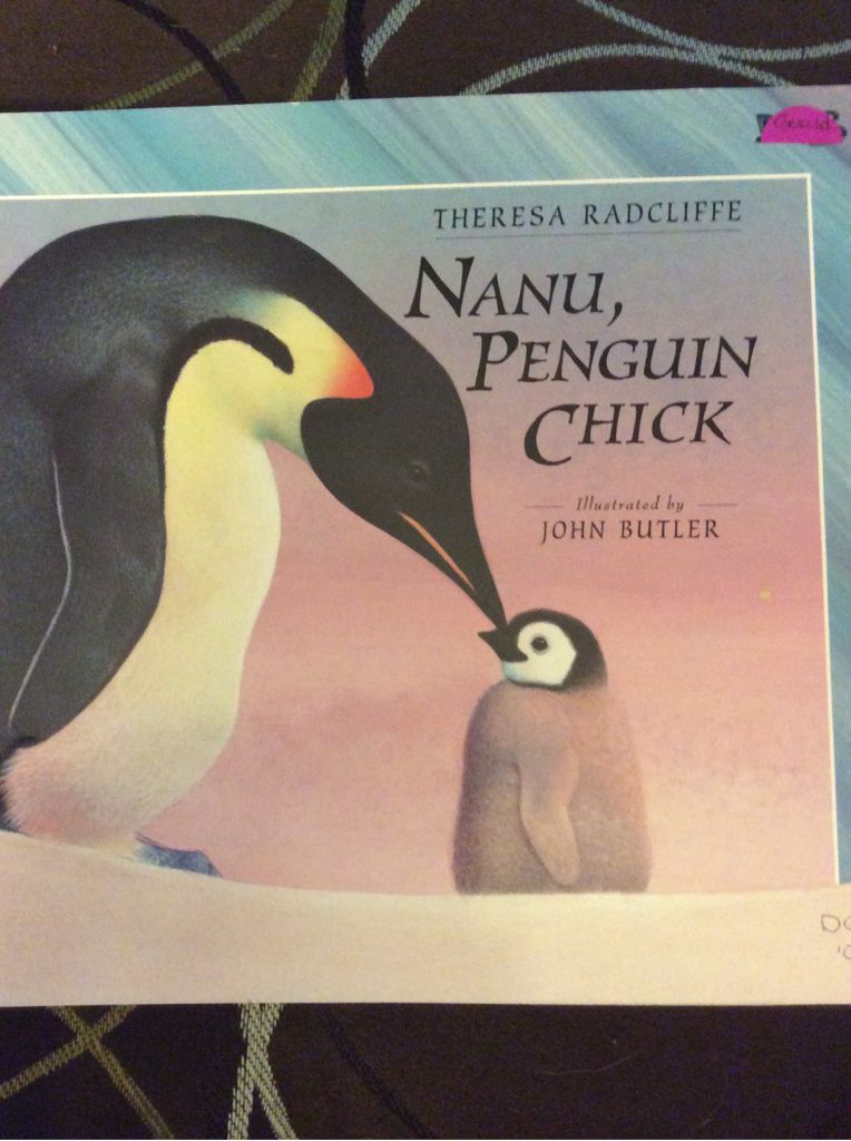 Nanu, Penguin Chick