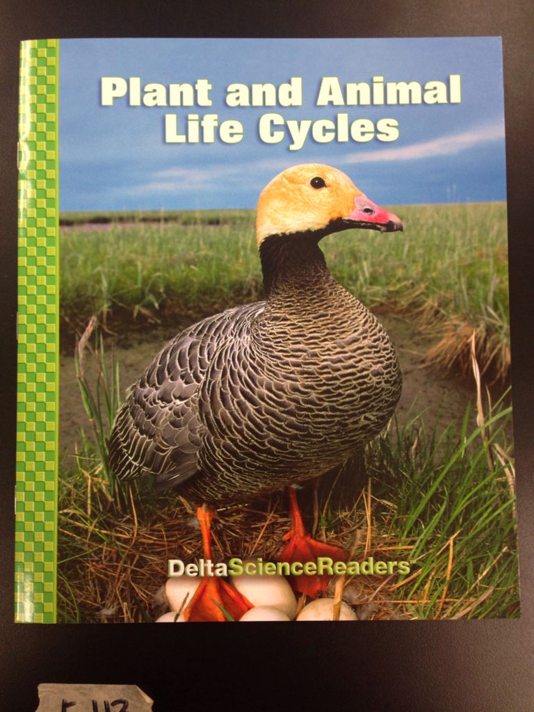 Plant And Animal Life Cycles