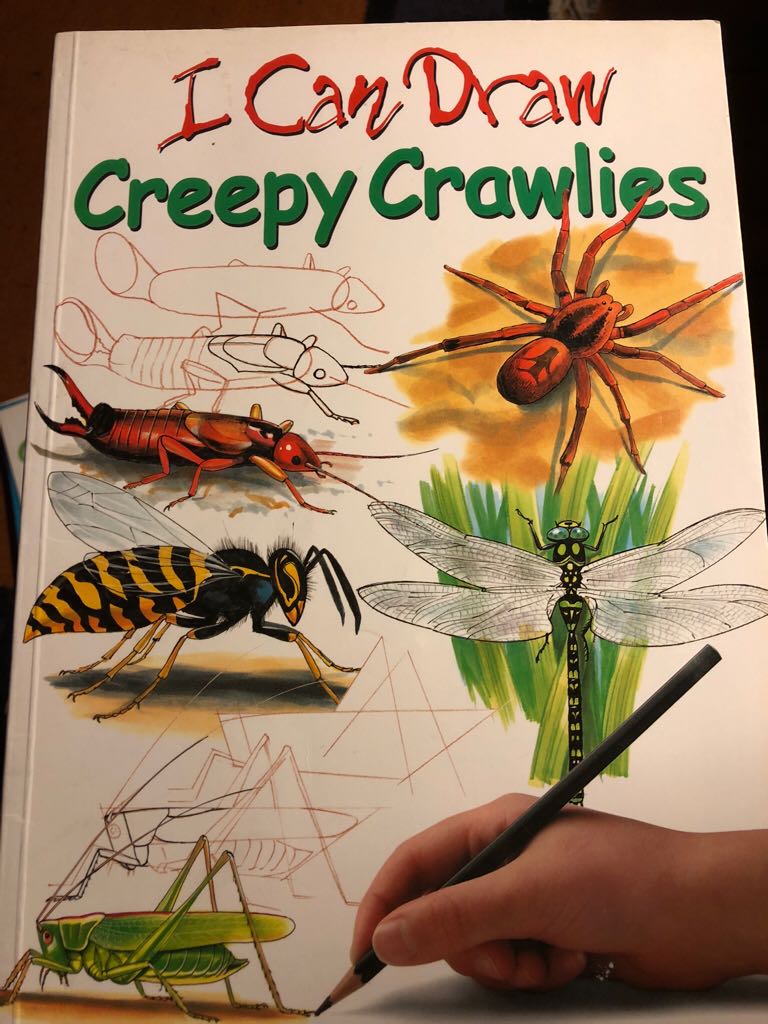 I can draw-- creepy crawlies