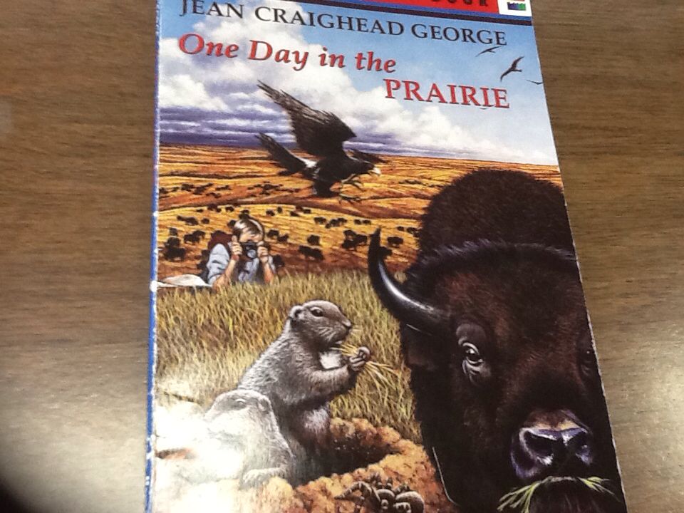 One Day in the Prairie