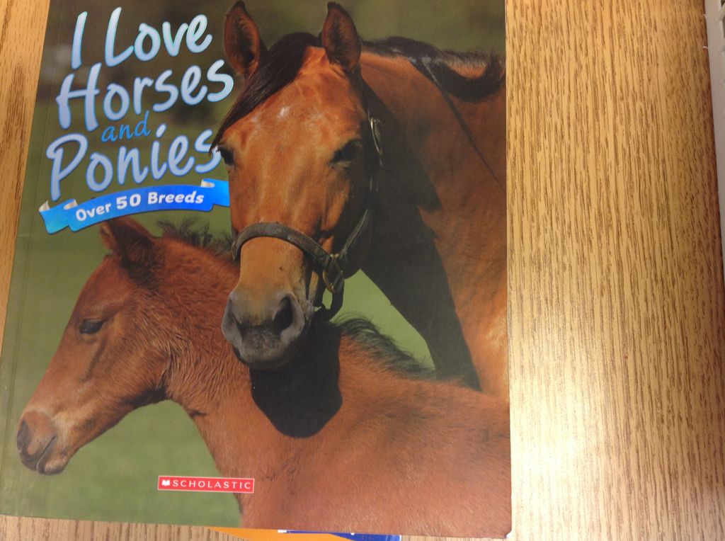 I Love Horses and Ponies - Nicola Jane Swinney (- Paperback) book collectible [Barcode 9780545492539] - Main Image 1