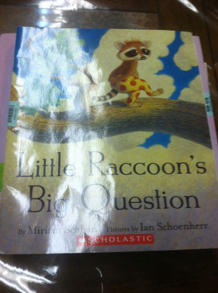 Little Raccoons Big Question - Miriam Schlein (Scholastic) book collectible [Barcode 9780439814782] - Main Image 1