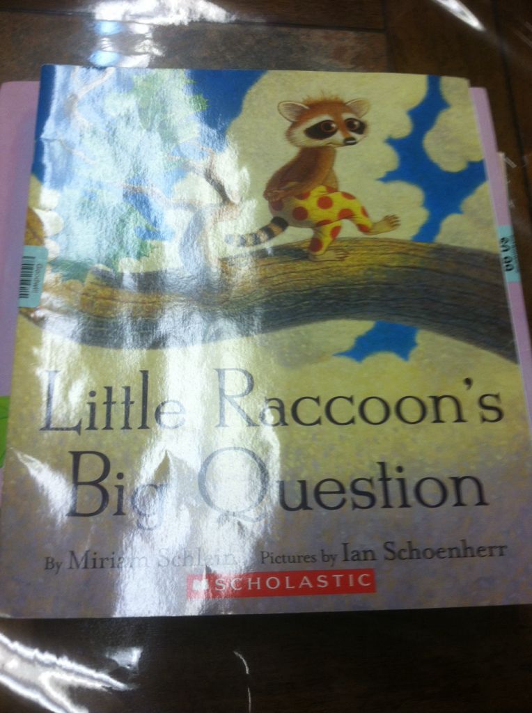 Little Raccoons Big Question