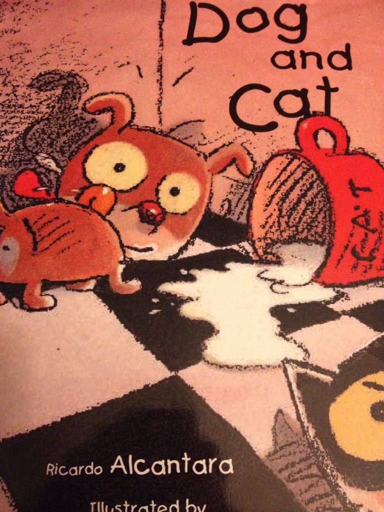 Dog and cat