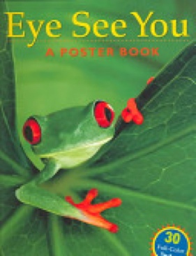 Eye See You: A Poster Book - Kristy MacWilliams (Storey Publishing - Paperback) book collectible [Barcode 9781580178488] - Main Image 1