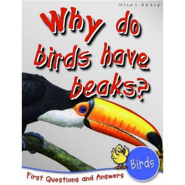 Why Do Birds Have Beaks?