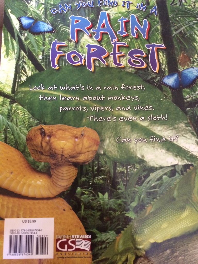 Can You Find It In A Rain Forest - Dee Phillips (Gareth Stevens Publishing - Paperback) book collectible [Barcode 9780836874549] - Main Image 2
