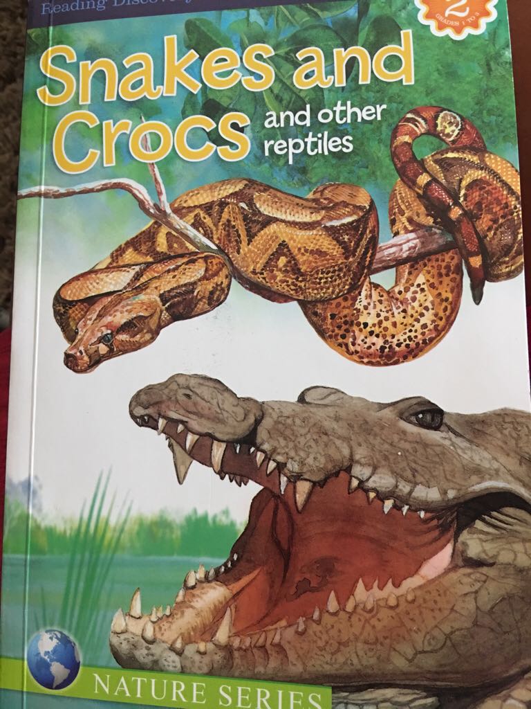 Snakes and Crocs and Other Reptiles