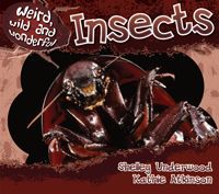 Weird, Wild and Wonderful: Insects