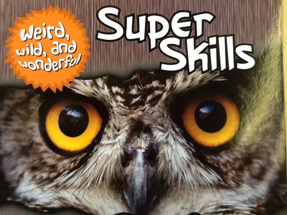 Weird, Wild and Wonderful: Super Skills