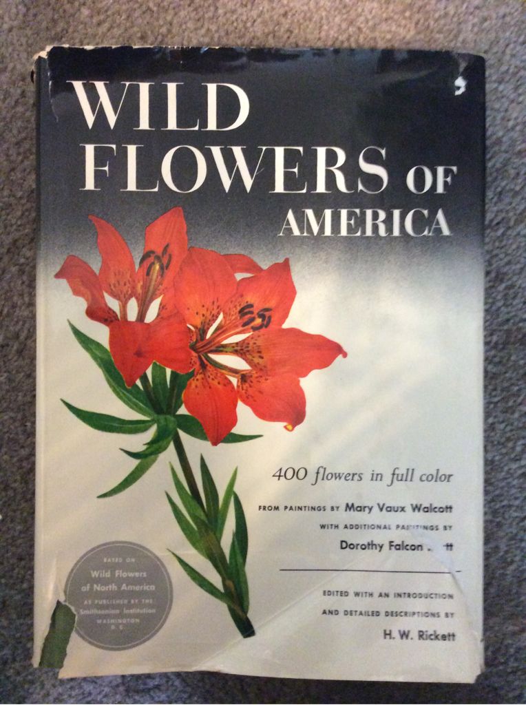 Wild flowers of America