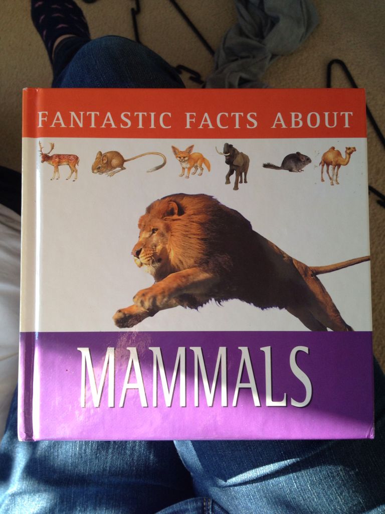 Fantastic Facts About Mammals