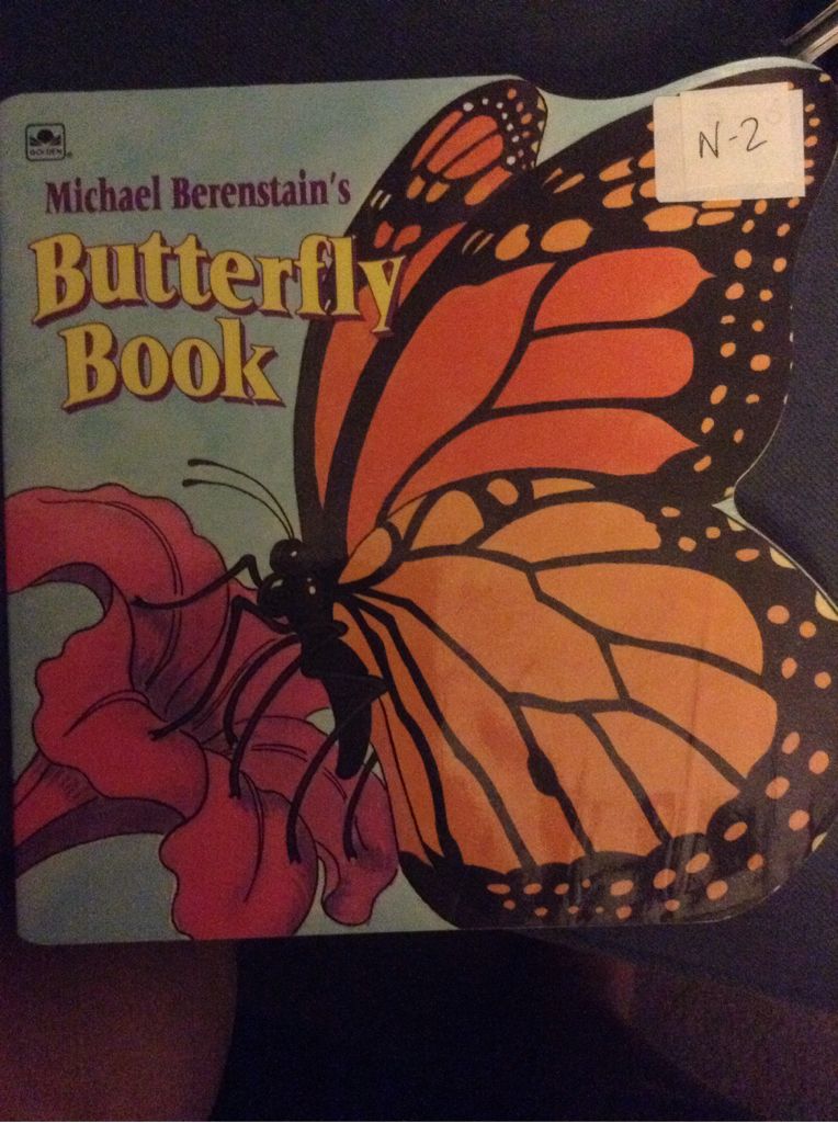 Michael Berenstain’s Butterfly Book