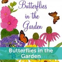 Butterflies in the Garden