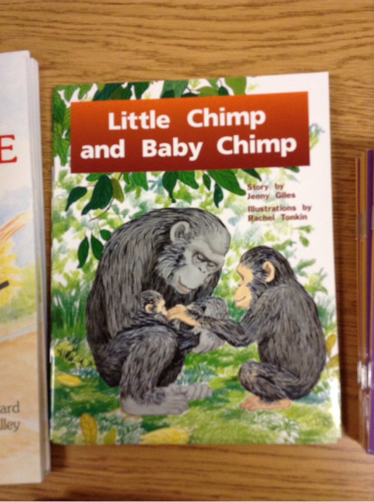 Little Chimp And Baby Chimp