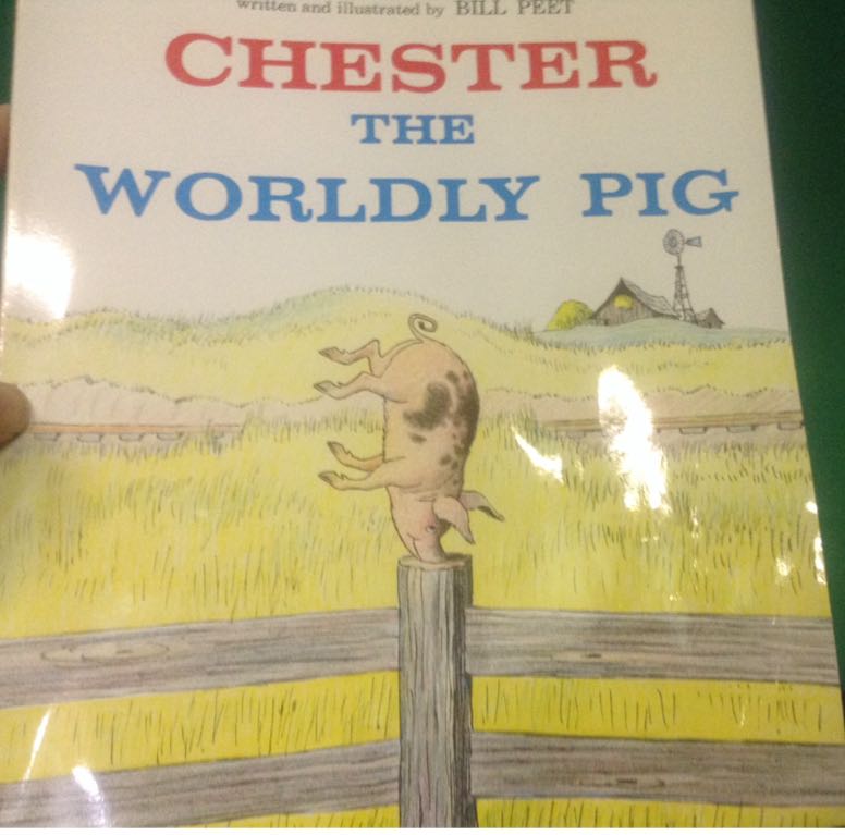 Chester The Worldly Pig