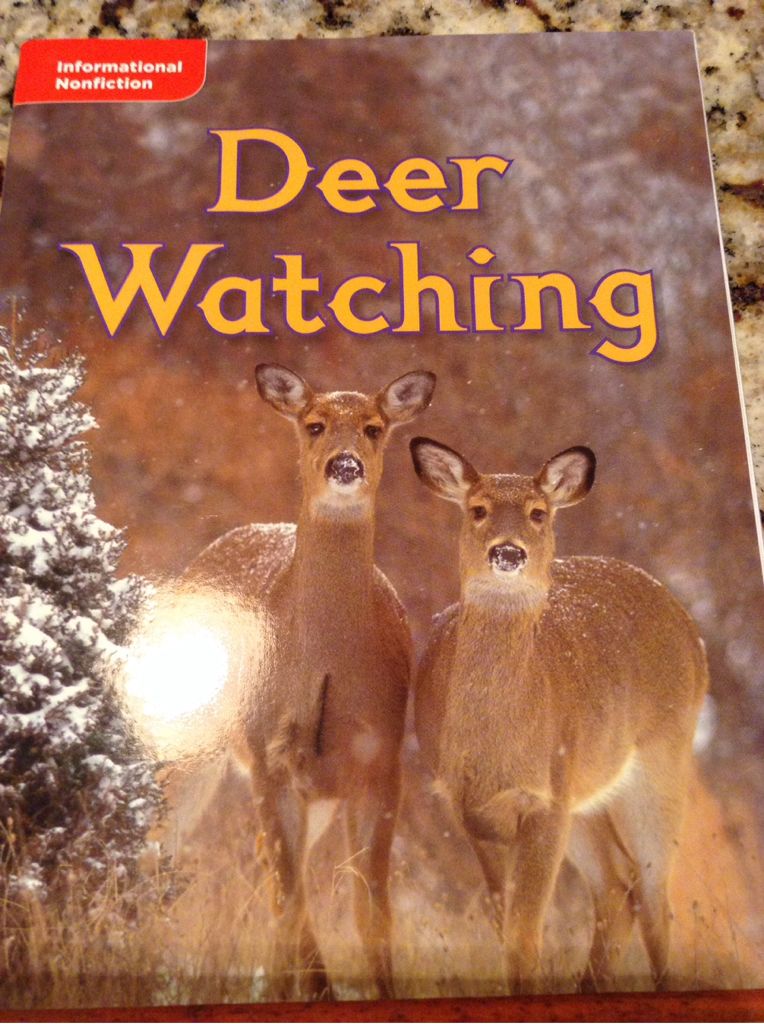 Deer Watching