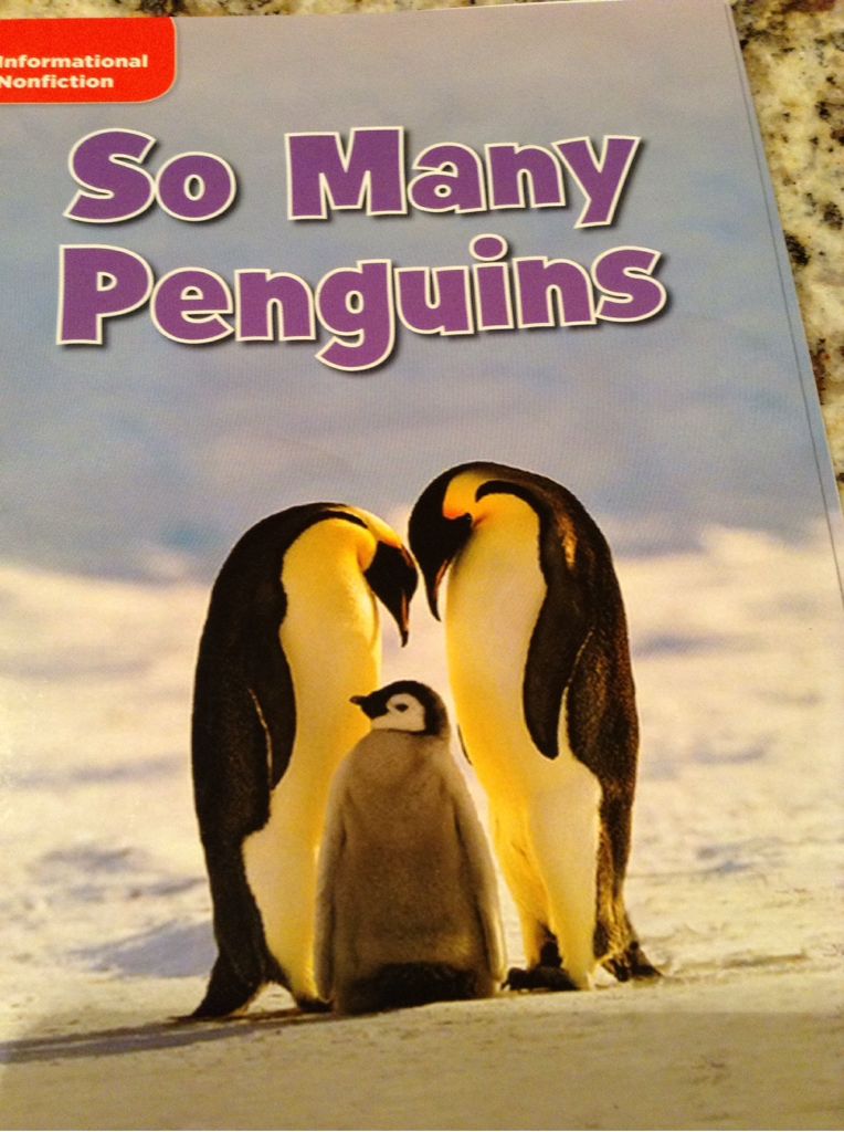 So Many Penguins