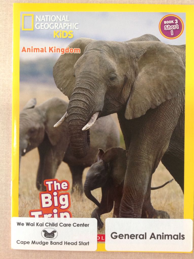 The Big Trip