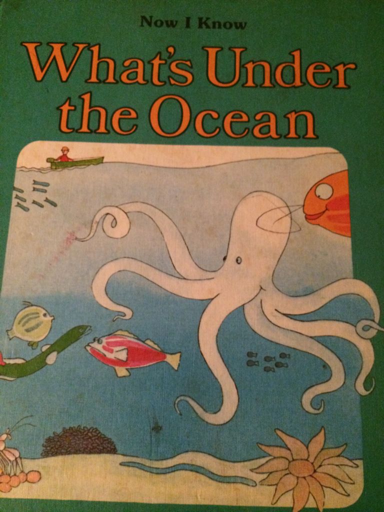 What’s Under the Ocean