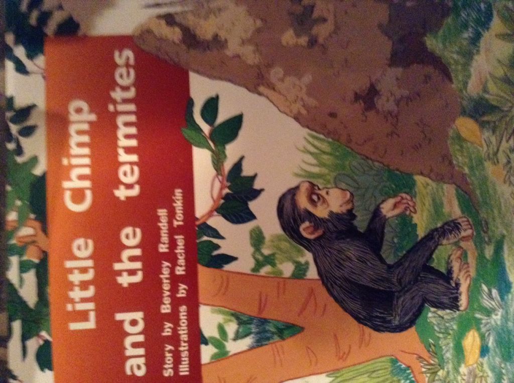 Little Chimp and the Termites