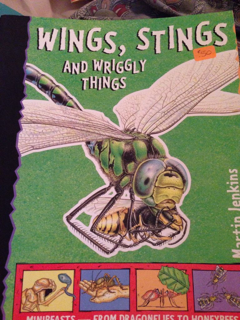 Wings, Stings and Wriggly Things